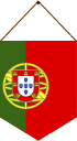 Multilingual psychologists for Intelligence Quotient test flag qi - portuguese